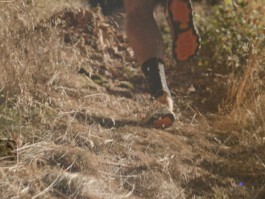 Runners Highest